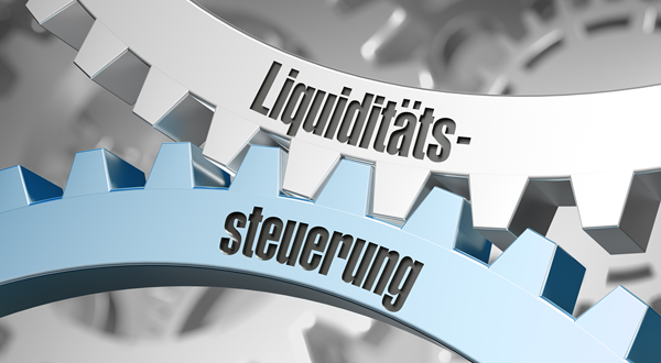 Liquiditätsplanung, Liquiditätssteuerung