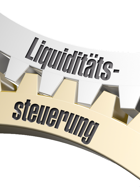 Professionelle Software zur Unternehmensplanung
